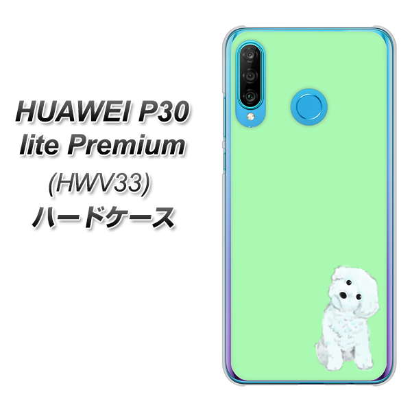 au HUAWEI(ファーウェイ) P30 lite Premium HWV33 高画質仕上げ 背面印刷 ハードケース【YJ071 トイプードルホワイト(グリーン)】