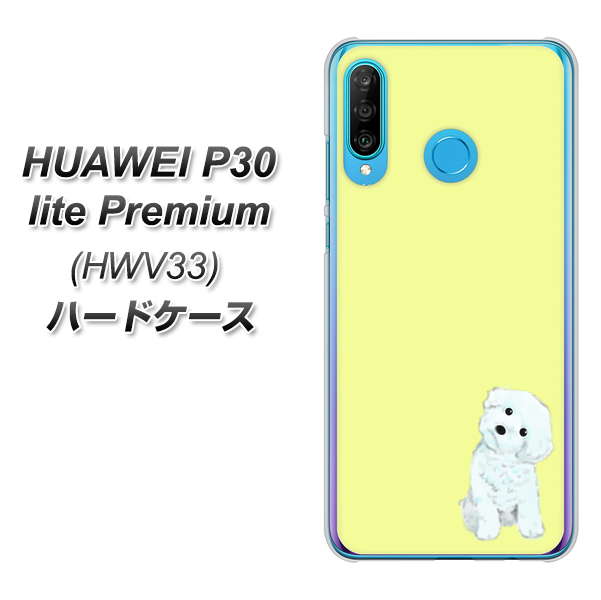 au HUAWEI(ファーウェイ) P30 lite Premium HWV33 高画質仕上げ 背面印刷 ハードケース【YJ072 トイプードルホワイト(イエロー)】