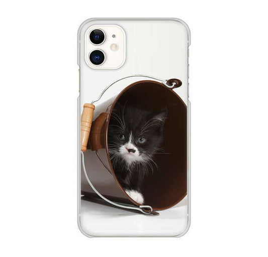 iPhone 11 高画質仕上げ 背面印刷 ハードケース 【VA800 ネコとバケツ】