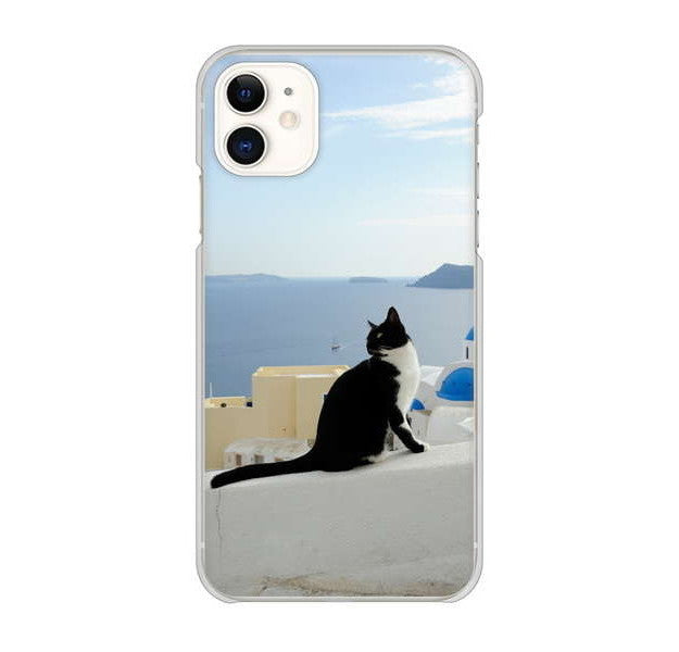 iPhone 11 高画質仕上げ 背面印刷 ハードケース 【VA805 ネコと地中海】