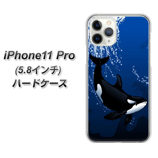 iPhone11 Pro (5.8インチ) 高画質仕上げ 背面印刷 ハードケース【423 シャチ】