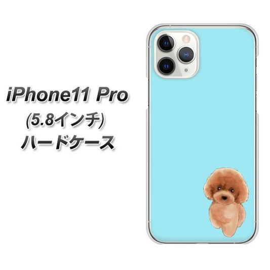 iPhone11 Pro (5.8インチ) 高画質仕上げ 背面印刷 ハードケース【YJ050 トイプードルレッド(ブルー)】