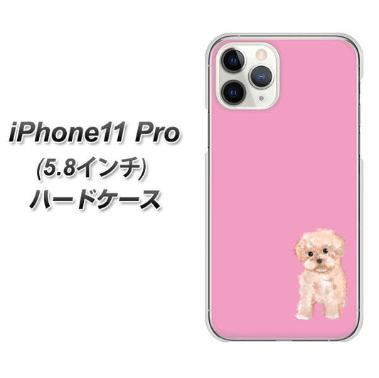 iPhone11 Pro (5.8インチ) 高画質仕上げ 背面印刷 ハードケース【YJ061 トイプードルアプリコット(ピンク)】