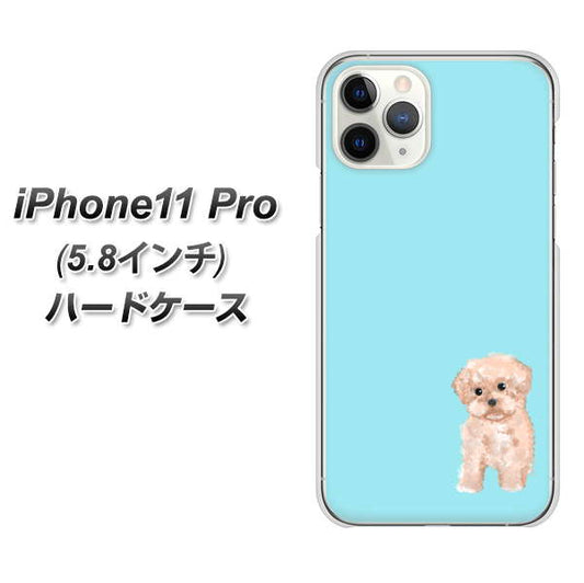 iPhone11 Pro (5.8インチ) 高画質仕上げ 背面印刷 ハードケース【YJ062 トイプードルアプリコット(ブルー)】