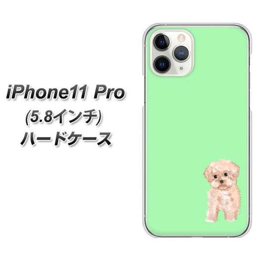 iPhone11 Pro (5.8インチ) 高画質仕上げ 背面印刷 ハードケース【YJ063 トイプードルアプリコット(グリーン)】