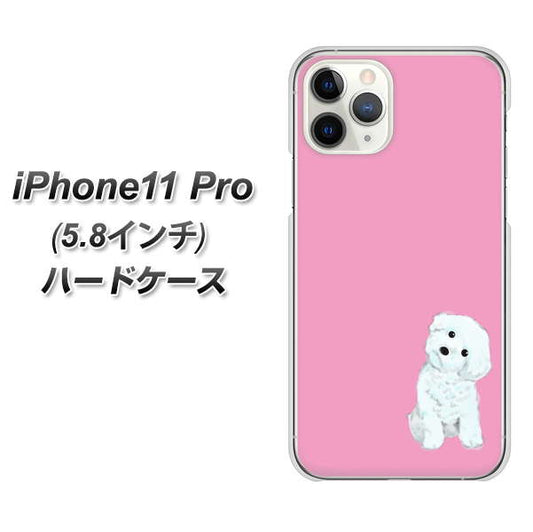 iPhone11 Pro (5.8インチ) 高画質仕上げ 背面印刷 ハードケース【YJ069 トイプードルホワイト(ピンク)】