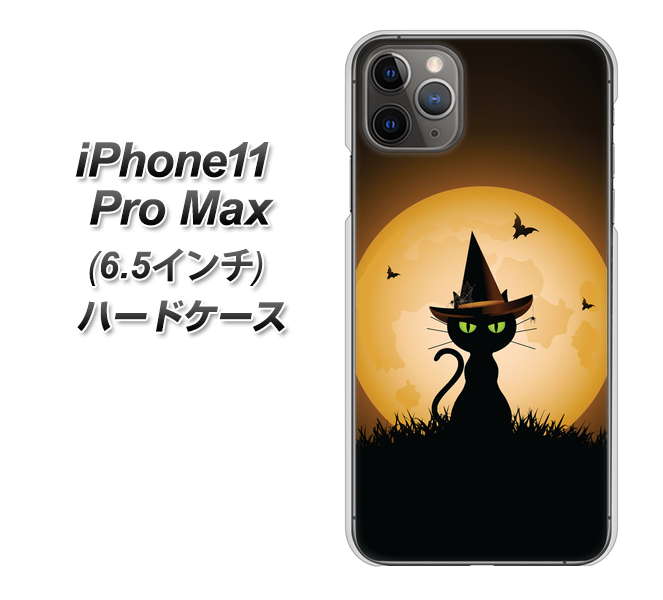 iPhone11 Pro Max (6.5インチ) 高画質仕上げ 背面印刷 ハードケース【440 猫の魔法使い】