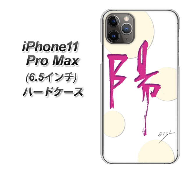 iPhone11 Pro Max (6.5インチ) 高画質仕上げ 背面印刷 ハードケース【OE833 陽】