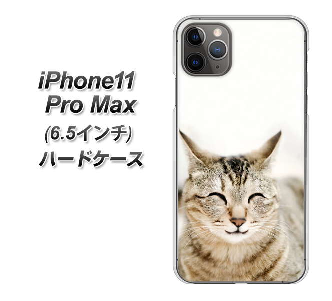 iPhone11 Pro Max (6.5インチ) 高画質仕上げ 背面印刷 ハードケース【VA801 笑福ねこ】