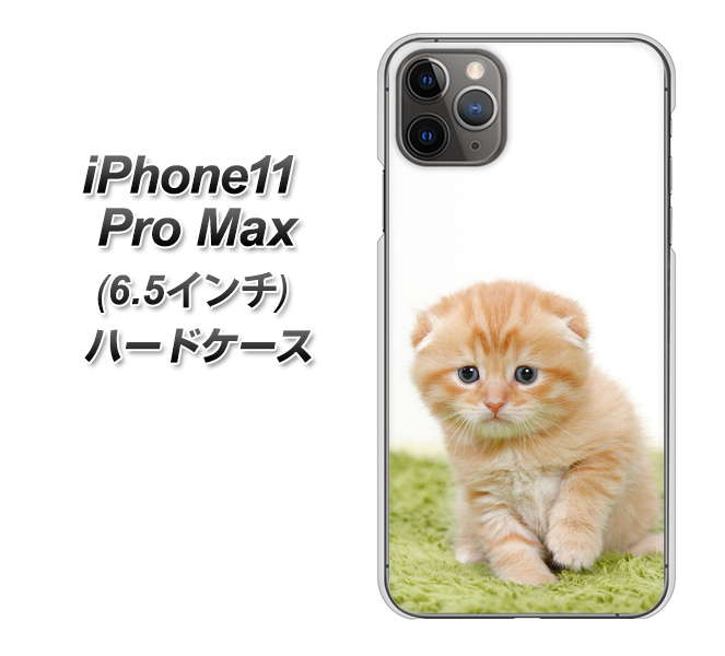 iPhone11 Pro Max (6.5インチ) 高画質仕上げ 背面印刷 ハードケース【VA802 ネコこっそり】