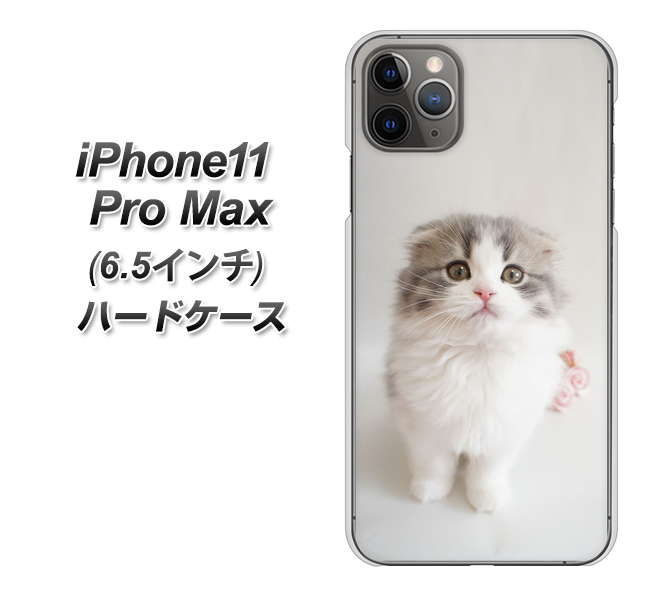 iPhone11 Pro Max (6.5インチ) 高画質仕上げ 背面印刷 ハードケース【VA803 まっていますネコ】