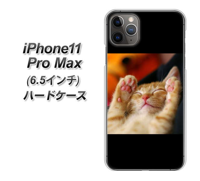 iPhone11 Pro Max (6.5インチ) 高画質仕上げ 背面印刷 ハードケース【VA804 爆睡するネコ】