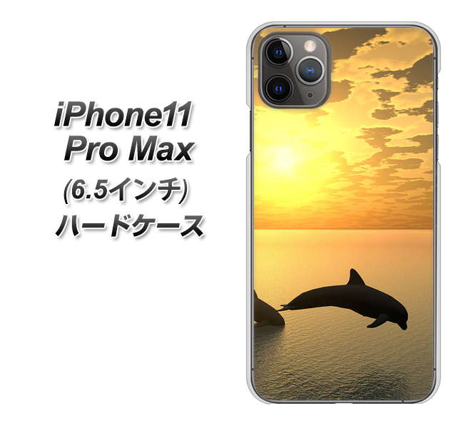 iPhone11 Pro Max (6.5インチ) 高画質仕上げ 背面印刷 ハードケース【VA845 夕暮れのドルフィン】