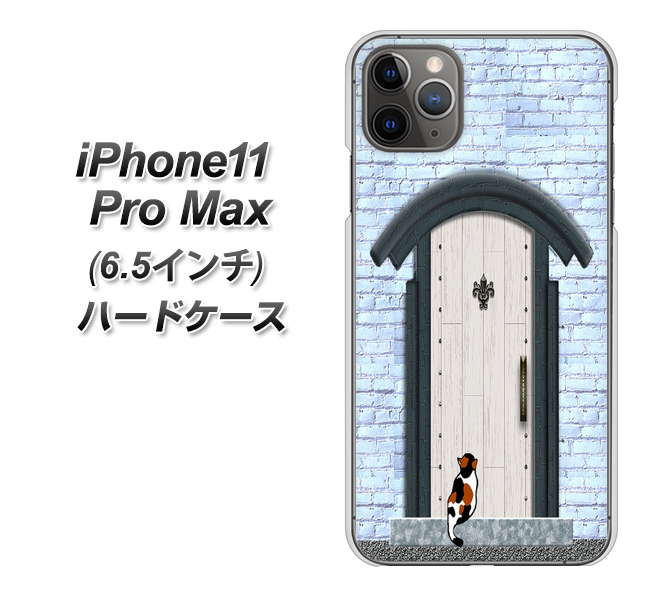 iPhone11 Pro Max (6.5インチ) 高画質仕上げ 背面印刷 ハードケース【YA951 石ドア01】