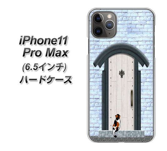 iPhone11 Pro Max (6.5インチ) 高画質仕上げ 背面印刷 ハードケース【YA951 石ドア01】