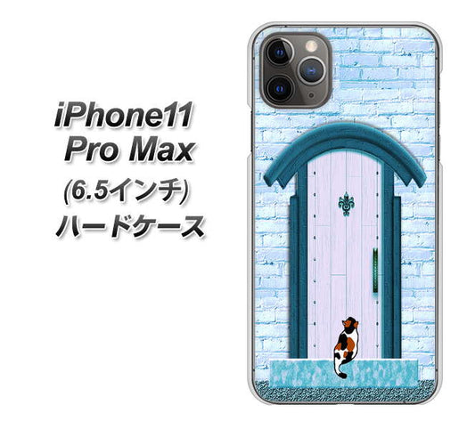 iPhone11 Pro Max (6.5インチ) 高画質仕上げ 背面印刷 ハードケース【YA953 石ドア03 素材クリア】