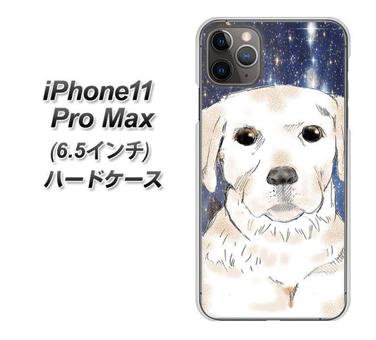 iPhone11 Pro Max (6.5インチ) 高画質仕上げ 背面印刷 ハードケース【YD820 ラブラドールレトリバー01】