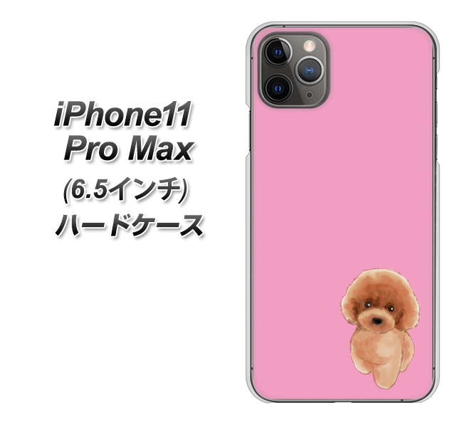 iPhone11 Pro Max (6.5インチ) 高画質仕上げ 背面印刷 ハードケース【YJ049 トイプードルレッド(ピンク)】