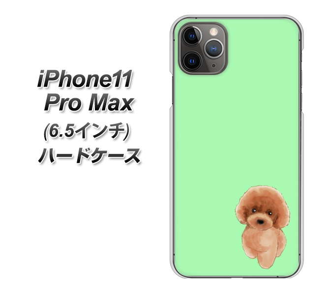 iPhone11 Pro Max (6.5インチ) 高画質仕上げ 背面印刷 ハードケース【YJ052 トイプードルレッド( グリーン)】