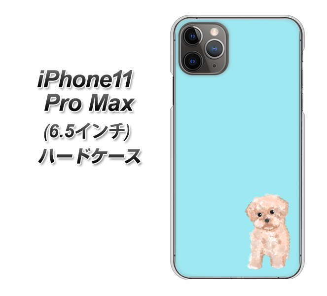 iPhone11 Pro Max (6.5インチ) 高画質仕上げ 背面印刷 ハードケース【YJ062 トイプードルアプリコット(ブルー)】