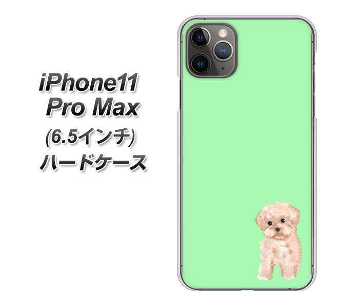 iPhone11 Pro Max (6.5インチ) 高画質仕上げ 背面印刷 ハードケース【YJ063 トイプードルアプリコット(グリーン)】