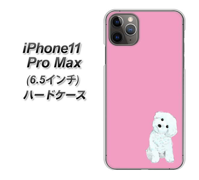 iPhone11 Pro Max　(6.5インチ) 高画質仕上げ 背面印刷 ハードケース【YJ069 トイプードルホワイト（ピンク）】