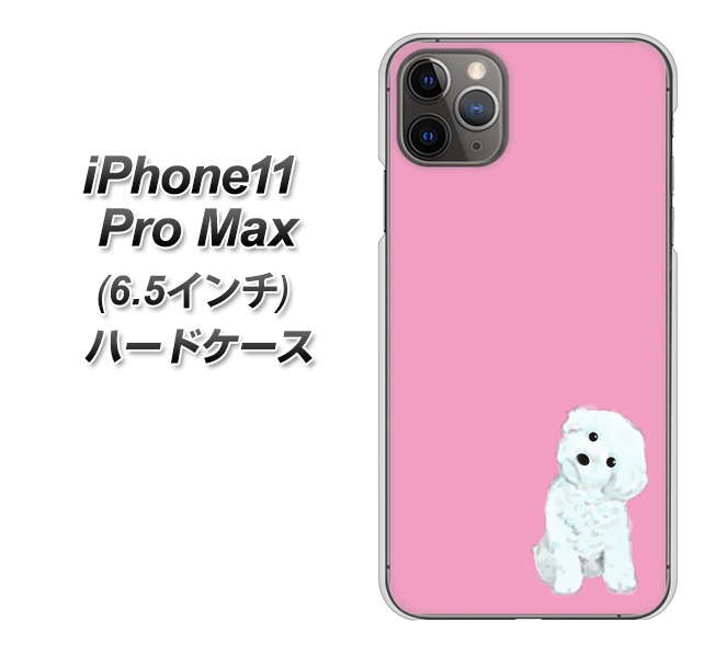 iPhone11 Pro Max (6.5インチ) 高画質仕上げ 背面印刷 ハードケース【YJ069 トイプードルホワイト(ピンク)】