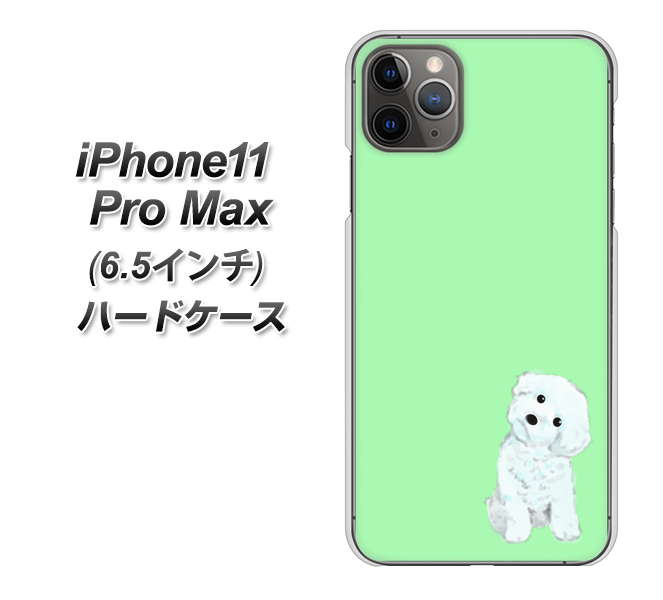 iPhone11 Pro Max (6.5インチ) 高画質仕上げ 背面印刷 ハードケース【YJ071 トイプードルホワイト(グリーン)】