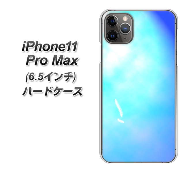 iPhone11 Pro Max (6.5インチ) 高画質仕上げ 背面印刷 ハードケース【YJ291 デザイン 光】
