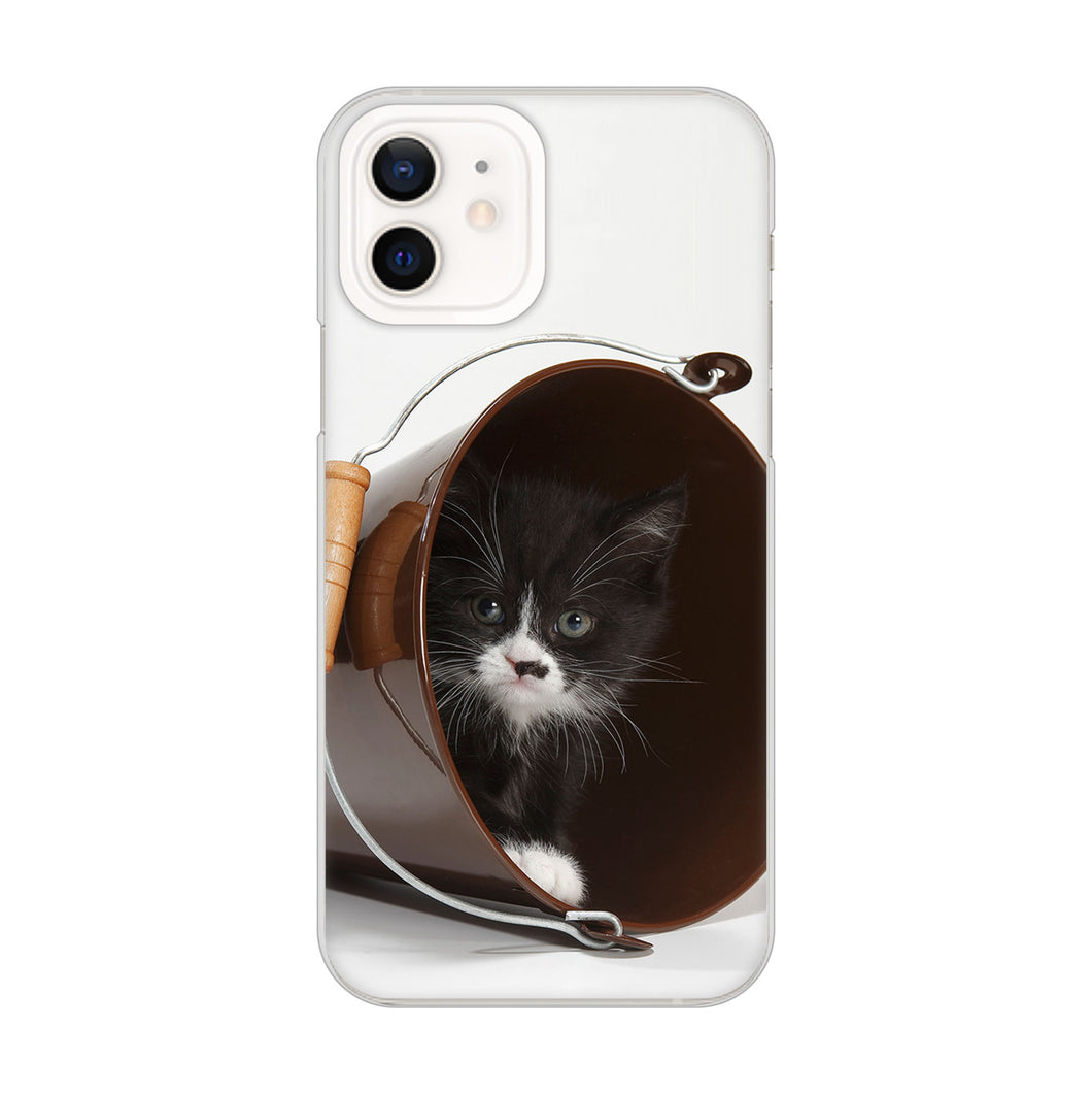 iPhone12 高画質仕上げ 背面印刷 ハードケース 【VA800 ネコとバケツ】