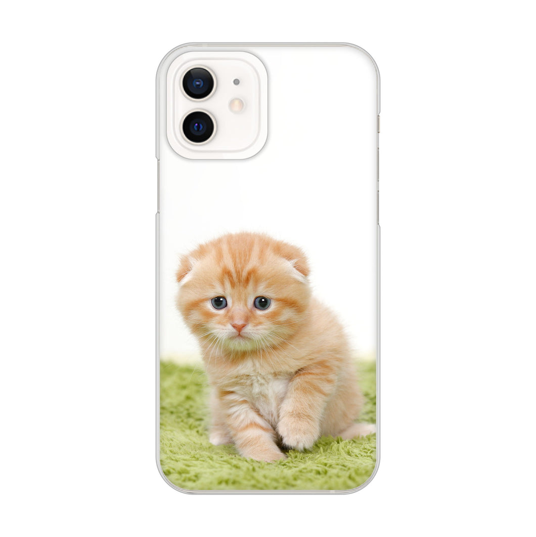 iPhone12 高画質仕上げ 背面印刷 ハードケース 【VA802 ネコこっそり】