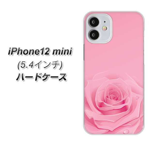 iPhone12 mini 高画質仕上げ 背面印刷 ハードケース【401 ピンクのバラ】