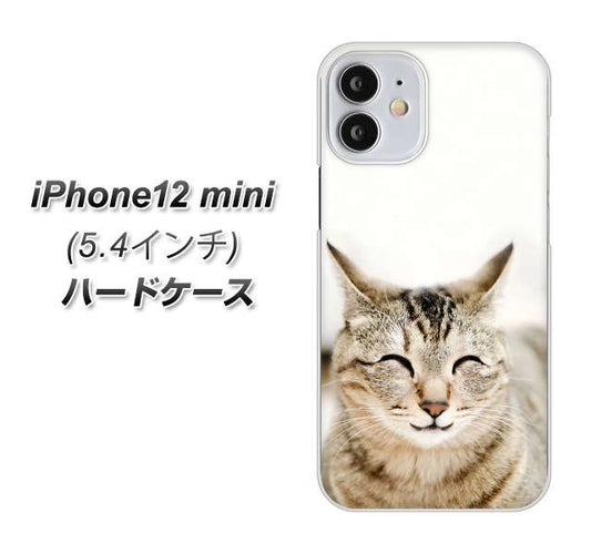 iPhone12 mini 高画質仕上げ 背面印刷 ハードケース 【VA801 笑福ねこ】