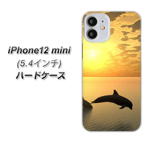 iPhone12 mini 高画質仕上げ 背面印刷 ハードケース 【VA845 夕暮れのドルフィン】