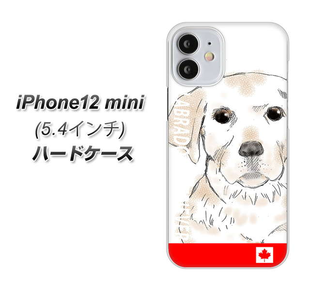 iPhone12 mini 高画質仕上げ 背面印刷 ハードケース【YD821 ラブラドールレトリバー02】