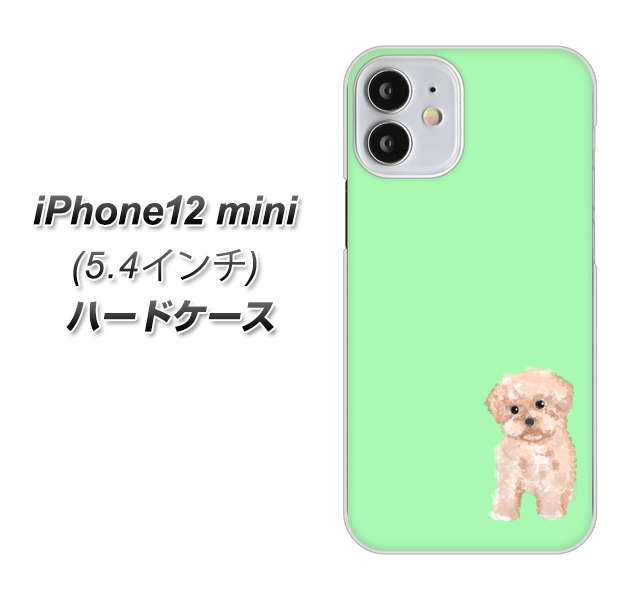 iPhone12 mini 高画質仕上げ 背面印刷 ハードケース【YJ063 トイプードルアプリコット(グリーン)】