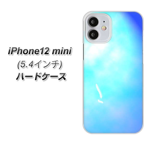 iPhone12 mini 高画質仕上げ 背面印刷 ハードケース【YJ291 デザイン 光】