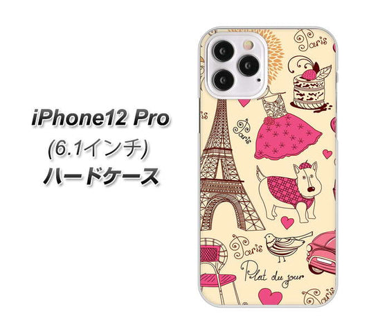 iPhone12 Pro 高画質仕上げ 背面印刷 ハードケース【265 パリの街】