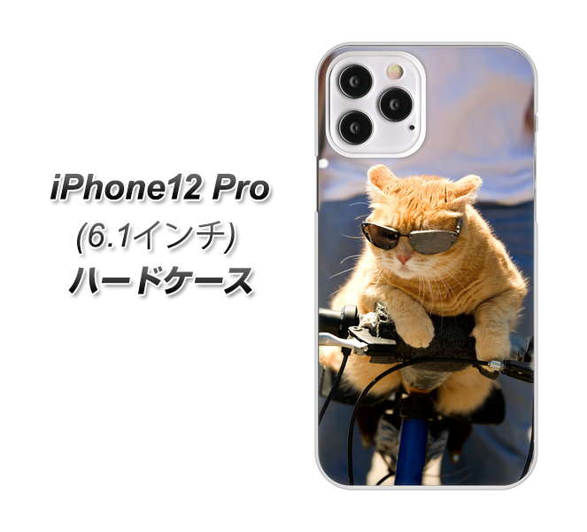iPhone12 Pro 高画質仕上げ 背面印刷 ハードケース 【595 にゃんとサイクル】