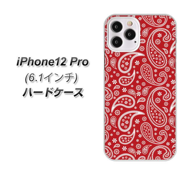 iPhone12 Pro 高画質仕上げ 背面印刷 ハードケース【765 ペイズリーエンジ】