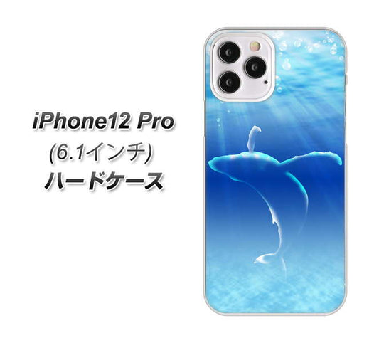 iPhone12 Pro 高画質仕上げ 背面印刷 ハードケース【1047 海の守り神くじら】