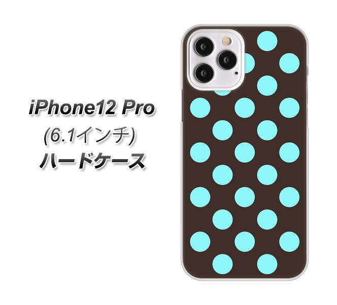 iPhone12 Pro 高画質仕上げ 背面印刷 ハードケース【1352 シンプルビッグ水色茶】