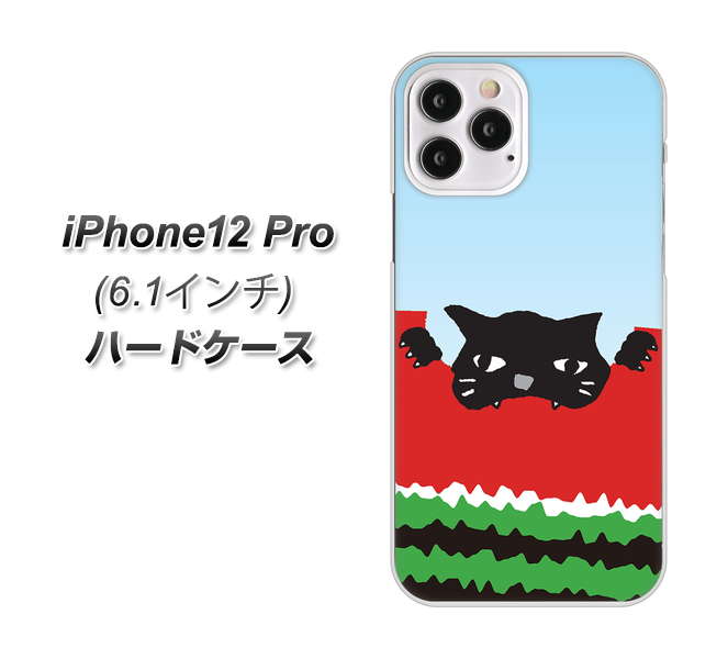 iPhone12 Pro 高画質仕上げ 背面印刷 ハードケース【IA815 すいかをかじるネコ(大)】