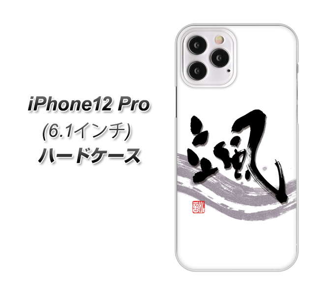 iPhone12 Pro 高画質仕上げ 背面印刷 ハードケース【OE827 颯】
