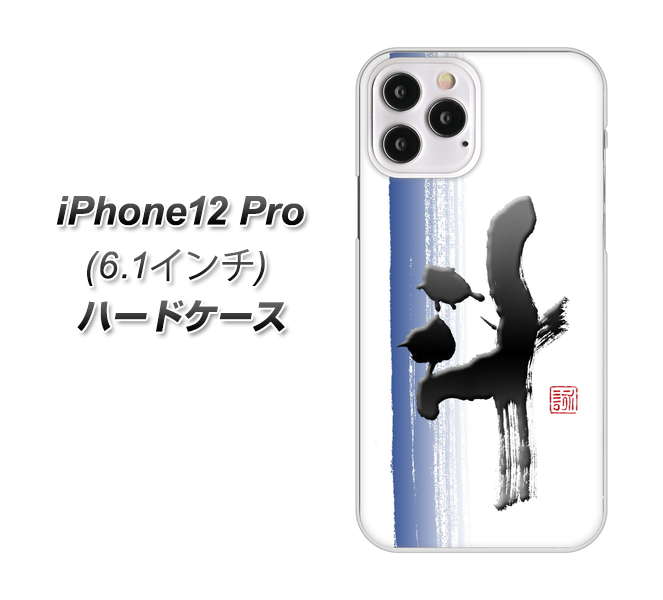iPhone12 Pro 高画質仕上げ 背面印刷 ハードケース【OE829 斗】