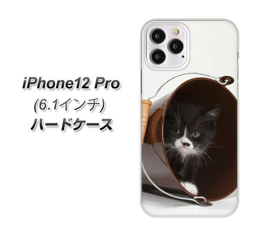 iPhone12 Pro 高画質仕上げ 背面印刷 ハードケース 【VA800 ネコとバケツ】