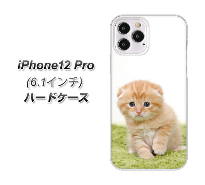iPhone12 Pro 高画質仕上げ 背面印刷 ハードケース 【VA802 ネコこっそり】