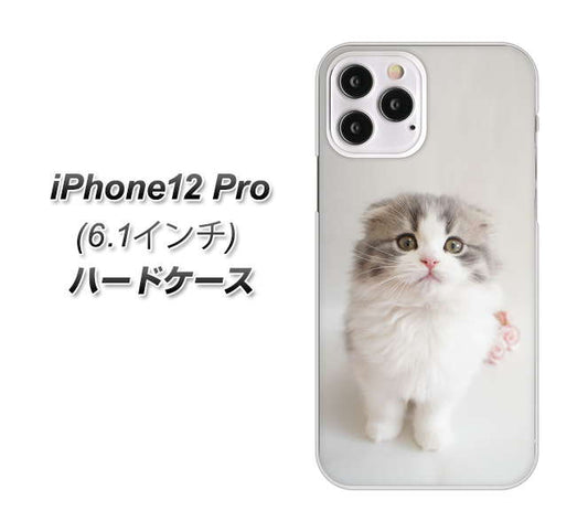 iPhone12 Pro 高画質仕上げ 背面印刷 ハードケース 【VA803 まっていますネコ】
