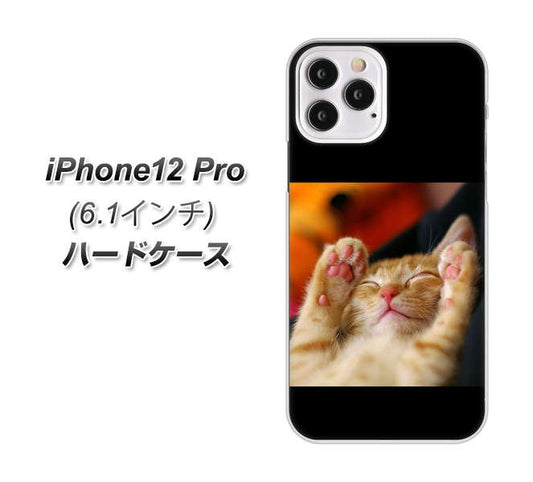 iPhone12 Pro 高画質仕上げ 背面印刷 ハードケース 【VA804 爆睡するネコ】