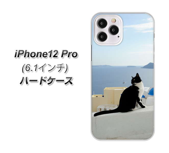 iPhone12 Pro 高画質仕上げ 背面印刷 ハードケース 【VA805 ネコと地中海】